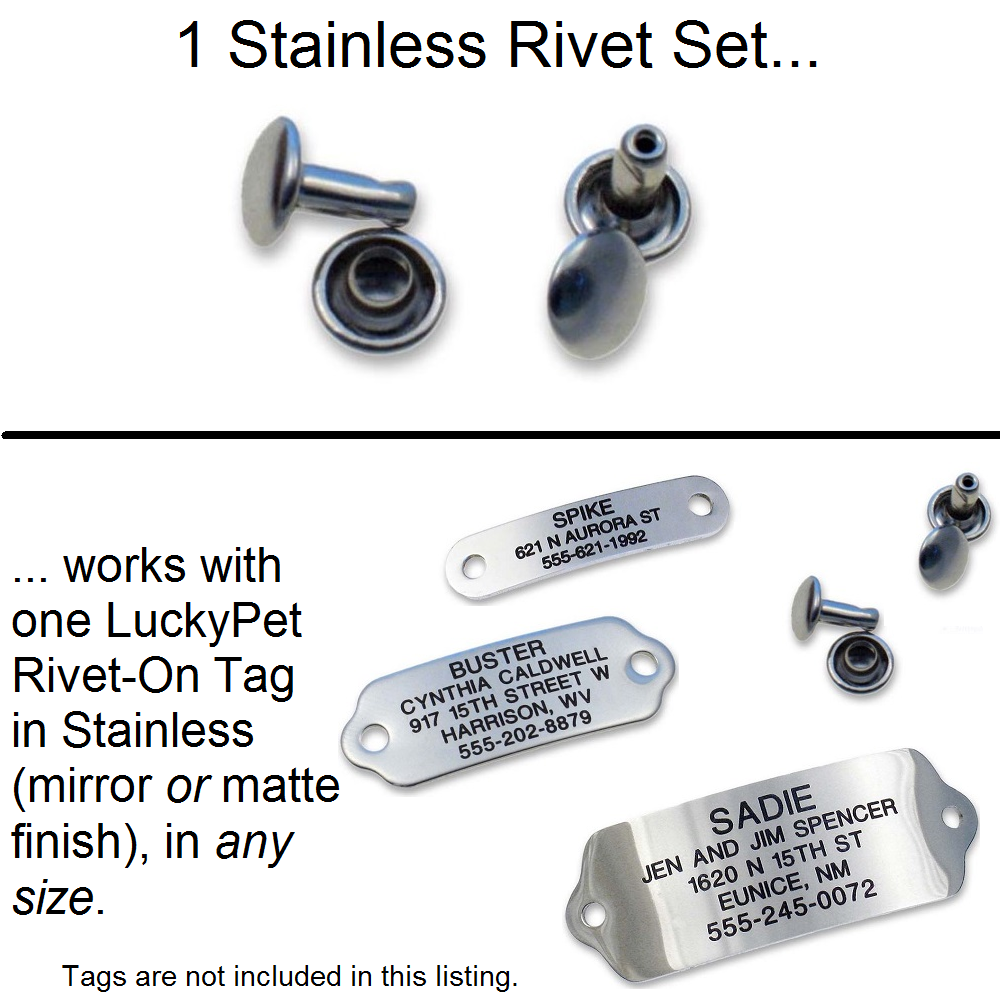 Image explaining that 1 Stainless Rivet Set works with one LuckyPet Rivet-On Tag in Stainless (mirror or matte finish), in any size.